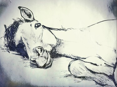 Drawing titled "Cheval 9" by Gil Aline, Original Artwork, Pencil