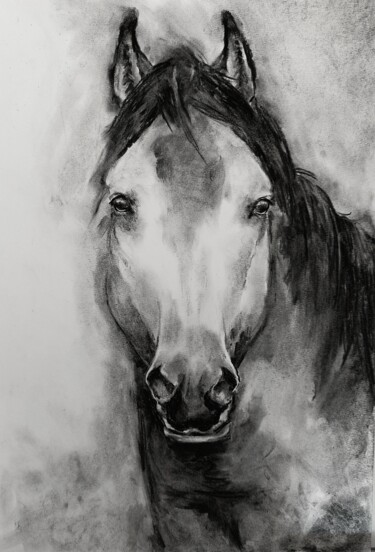 Drawing titled "Cheval 7" by Gil Aline, Original Artwork, Charcoal