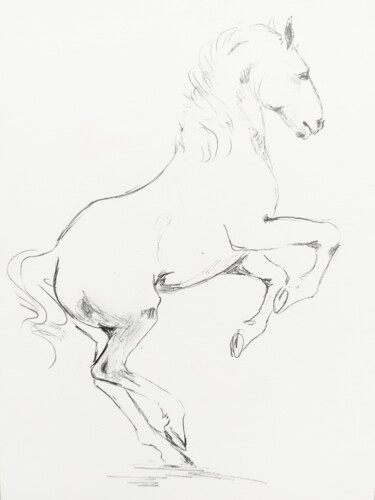 Disegno intitolato "Cheval 12" da Gil Aline, Opera d'arte originale, Matita