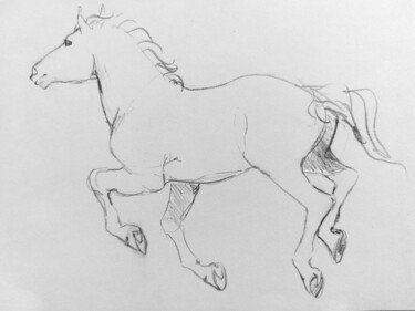 Drawing titled "Cheval 13" by Gil Aline, Original Artwork, Pencil