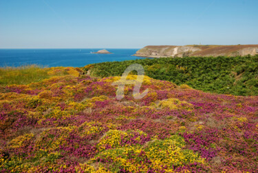 Photographie intitulée "Côte Bretonne à Cap…" par Gilles Larbi, Œuvre d'art originale, Photographie numérique