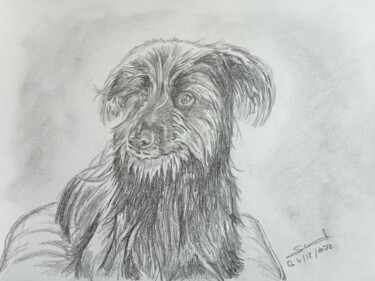 Dessin intitulée "Portrait du chien B…" par Gilles Staub (LeCrayonAgile), Œuvre d'art originale, Crayon