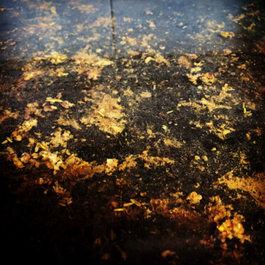 Photography titled "FatGold" by Gilles De Boncourt, Original Artwork, Non Manipulated Photography