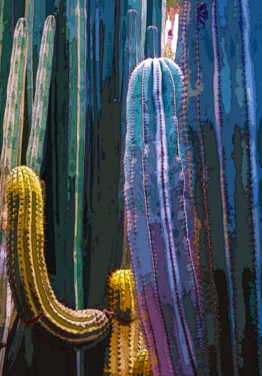 Artes digitais intitulada "sans titre . Cactus" por Gilles Mével, Obras de arte originais, Pintura digital Montado em Plexig…