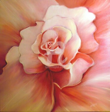 Painting titled "macro fiore rosa" by Giordana Bussoli, Original Artwork