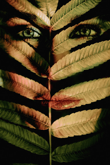 Arte digitale intitolato "plant woman 2" da Giorgio Di Fini, Opera d'arte originale, Fotomontaggio