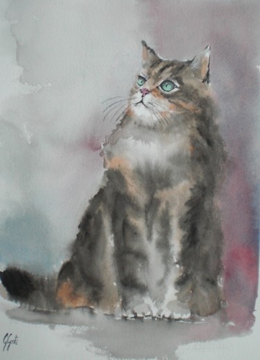 Картина под названием "staring cat" - Giorgio Gosti, Подлинное произведение искусства, Акварель