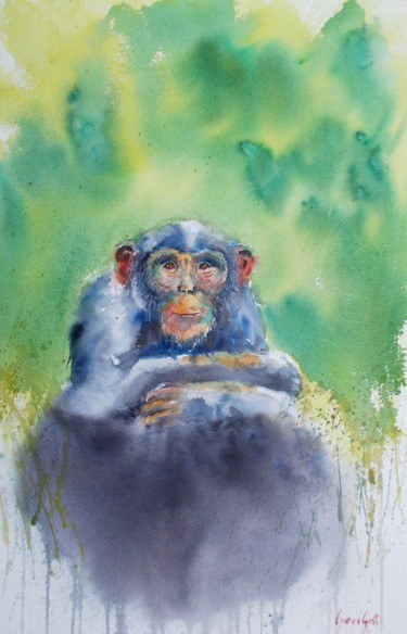 Pintura intitulada "chimpanzee" por Giorgio Gosti, Obras de arte originais, Aquarela