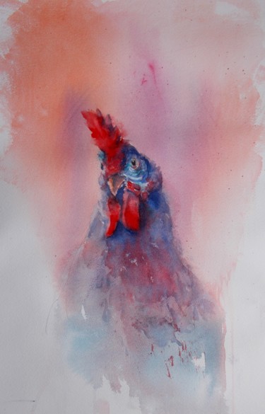 Painting titled "rooster 14" by Giorgio Gosti, Original Artwork, Watercolor