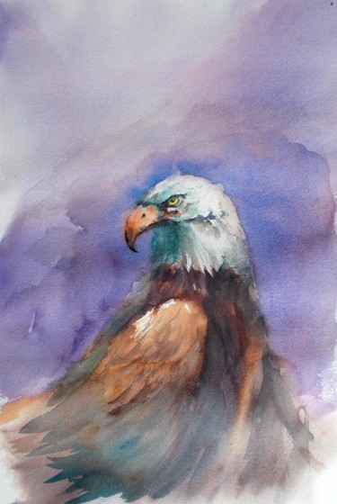 Painting titled "bald eagle" by Giorgio Gosti, Original Artwork, Watercolor