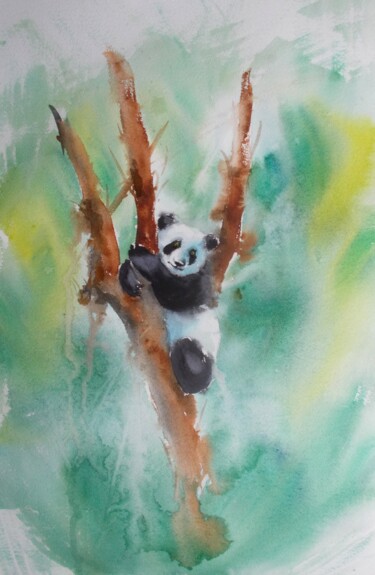 Painting titled "panda" by Giorgio Gosti, Original Artwork, Watercolor