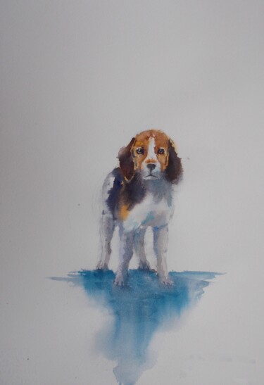 Painting titled "puppy 2" by Giorgio Gosti, Original Artwork, Watercolor