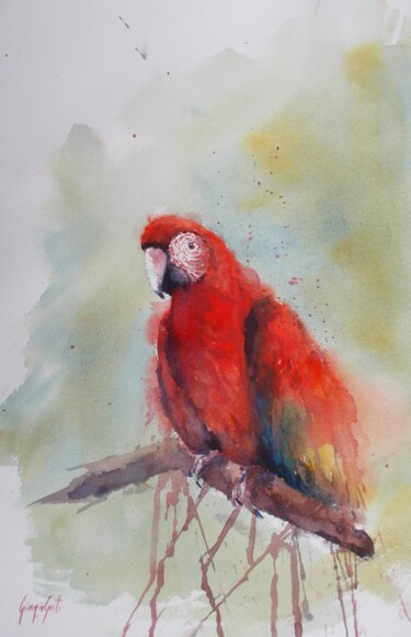 Painting titled "parrot" by Giorgio Gosti, Original Artwork, Watercolor