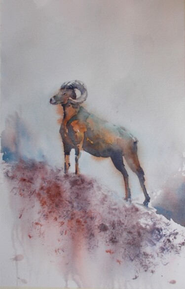 Schilderij getiteld "mouflon 2" door Giorgio Gosti, Origineel Kunstwerk, Aquarel