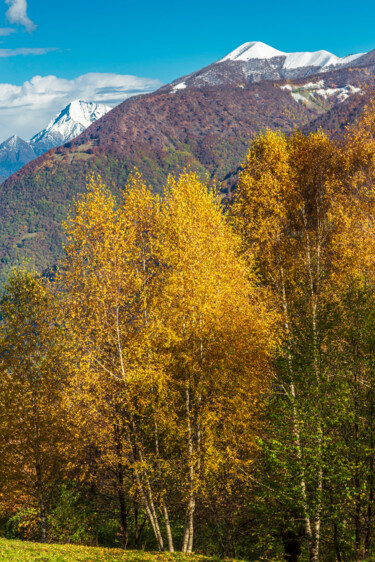 "MAGICAL AUTUMN IN T…" başlıklı Fotoğraf Giovanni Appiani tarafından, Orijinal sanat, Fotoşopsuz fotoğraf