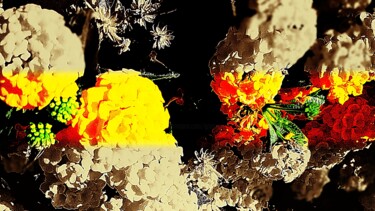 Fotografia intitolato "colore per l'incant…" da Giovanni Greco, Opera d'arte originale, Fotografia digitale