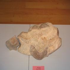 Sculpture titled "Incubation" by Giovanni Giambra, Original Artwork, Stone