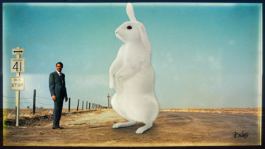 Arte digitale intitolato "Noth by the rabbit" da Bisha, Opera d'arte originale, Pittura digitale
