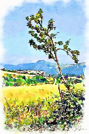 Digital Arts titled "Alberello con vista" by Giuseppe Cocco, Original Artwork, Watercolor