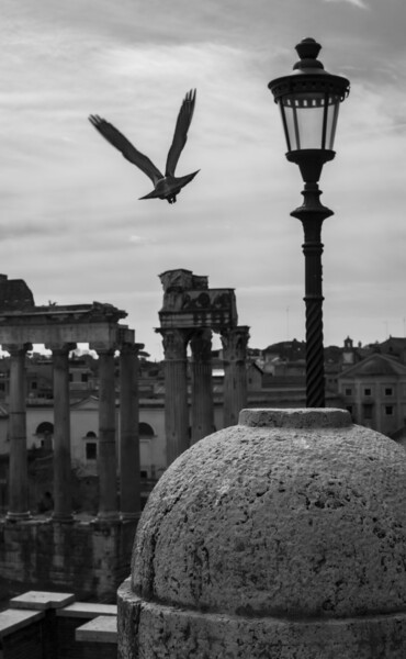 摄影 标题为“Rome” 由Giuseppe Di Maria, 原创艺术品, 非操纵摄影