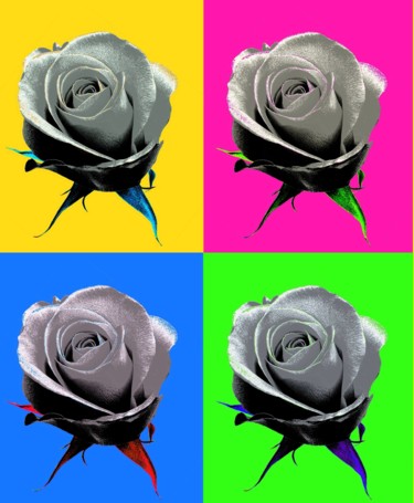 Pittura intitolato "Rose e Rose" da Giuseppe Gruciani, Opera d'arte originale, Lavoro digitale 2D