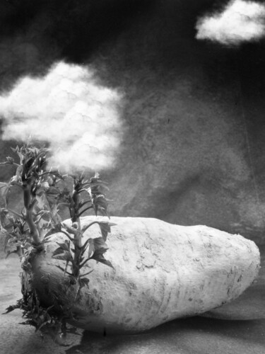 Photographie intitulée "Natura morta con nu…" par Giuseppe Persia, Œuvre d'art originale, Photographie manipulée Monté sur A…