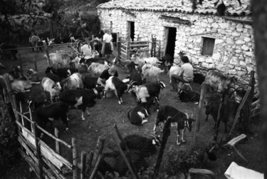 Fotografie getiteld "Pastori di capre." door Giuseppe Persia, Origineel Kunstwerk, Film fotografie
