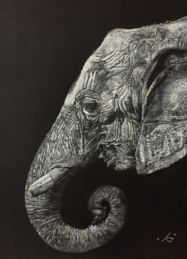 Drawing titled "Le pachyderme" by Gerald Ksavrelof, Original Artwork, Chalk