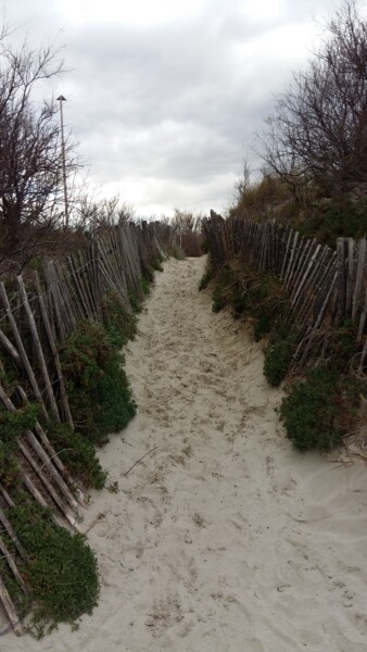 Photography titled "Montpellier beach" by Gladys Montella, Original Artwork