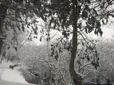 Photographie intitulée "SNOW SNOW" par Gladys Montella, Œuvre d'art originale