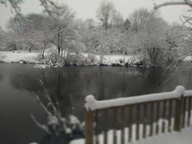 Photography titled "WINTER DAY" by Gladys Montella, Original Artwork