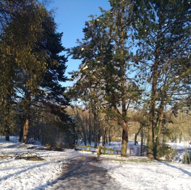 Fotografia intitolato "WINTER PARK" da Gladys Montella, Opera d'arte originale