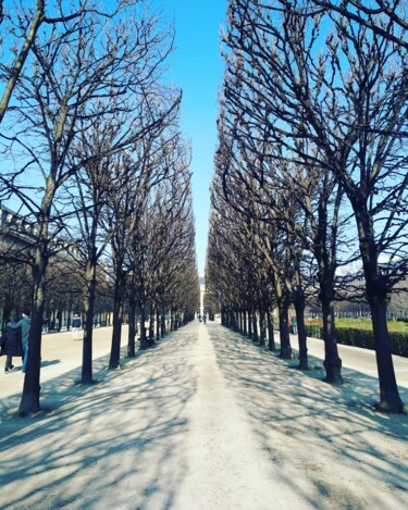 Photography titled "Jardin du palais ro…" by Gladys Montella, Original Artwork