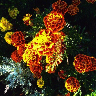 Photographie intitulée "poetic flower" par Gladys Montella, Œuvre d'art originale