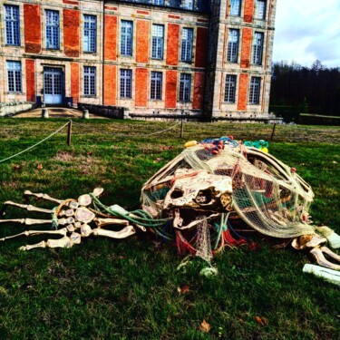 Photographie intitulée "Alerte" par Gladys Montella, Œuvre d'art originale