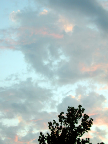 Photographie intitulée "Nuages et arbres.jpg" par Gilbert Laporta, Œuvre d'art originale