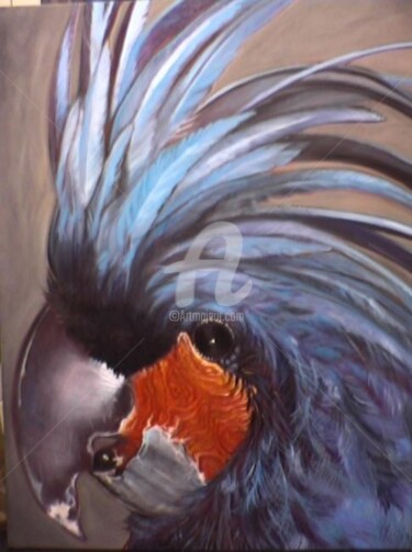 Painting titled "Palm Cockatoo" by Glenda Fell Jones, Original Artwork, Oil