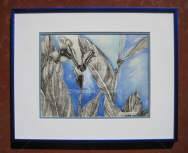 Drawing titled "Red Canna lll" by Glenn Durrance, Original Artwork, Other