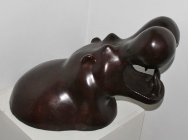 Hyppo. (bronze numérotée) Sculpture intitulée "Hyppo. (bronze n…" par Ghyslaine Leonelli, Œuvre d'art originale, Bronze