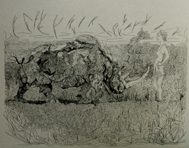 Drawing titled "rencontre rhinocéros" by Grégory M. Compagnon, Original Artwork, Ink