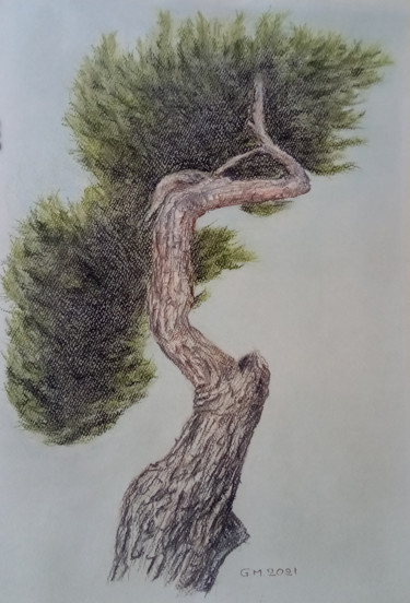 Tekening getiteld "Δέντρο, γλυπτό" door Georgia Melanitou (G.M.), Origineel Kunstwerk, Houtskool