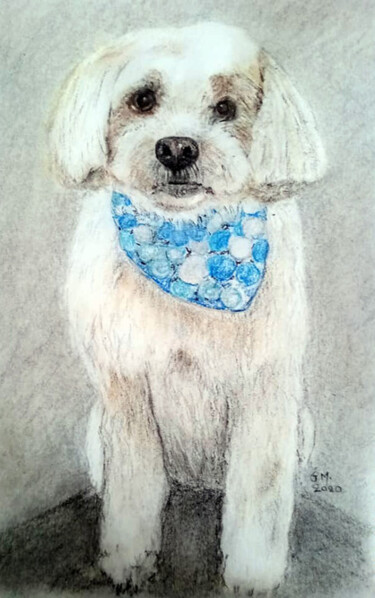 Σχέδιο με τίτλο "Σκύλος με φουλάρι" από Georgia Melanitou (G.M.), Αυθεντικά έργα τέχνης, Κάρβουνο