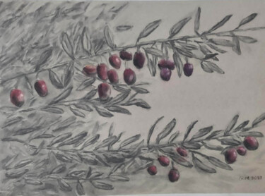 Drawing titled "Κλαδιά ελιάς" by Georgia Melanitou (G.M.), Original Artwork, Charcoal