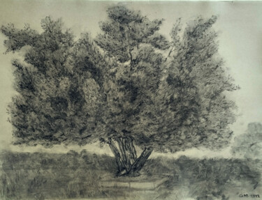 Рисунок под названием "Ελιά του κήπου" - Georgia Melanitou (G.M.), Подлинное произведение искусства, Древесный уголь