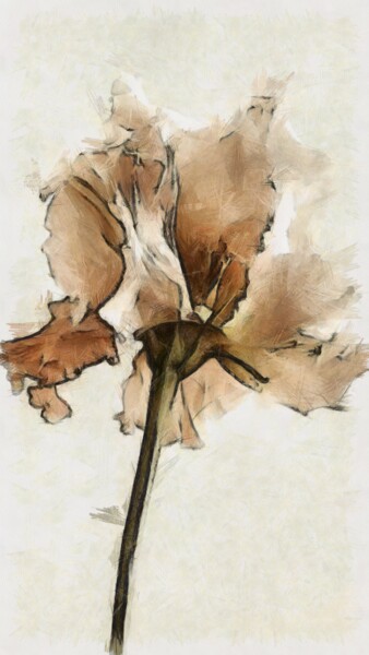 Digital Arts titled "Beautiful flower" by Nelli Utalishvili, Original Artwork, Digital Painting