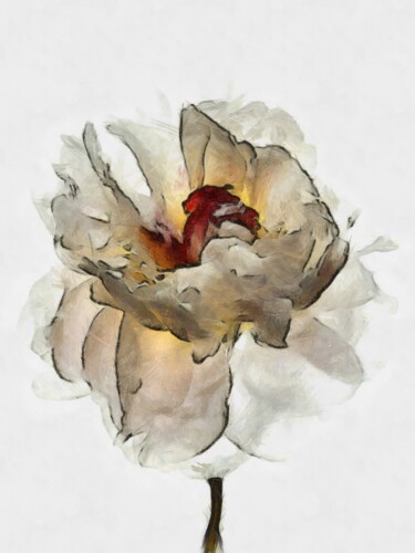 Digital Arts titled "FLOWER PEONY" by Nelli Utalishvili, Original Artwork, Digital Painting