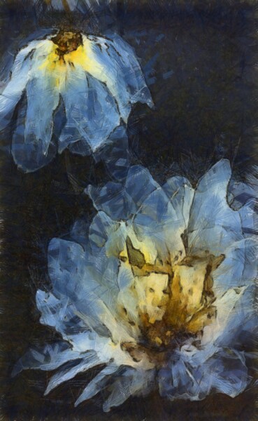 Digital Arts titled "Night Flowers" by Nelli Utalishvili, Original Artwork, Digital Painting