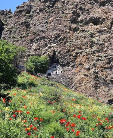 Fotografía titulada "Spring" por Gohar Papikyan, Obra de arte original, Fotografía digital