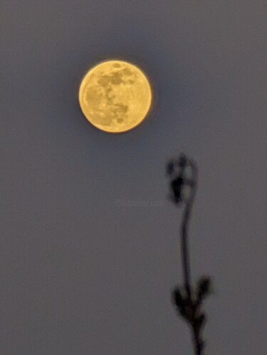 Painting titled "Gary's Moon" by Aby Golden Lady B, Original Artwork, Non Manipulated Photography Mounted on Aluminium