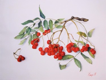 Painting titled ""The branch of red…" by Valeriia Kempi, Original Artwork, Watercolor